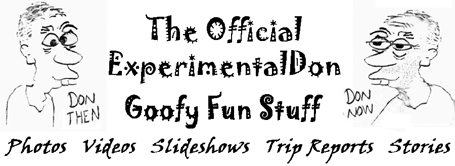 Website title 'Goofy Fun Stuff' with Don's picture