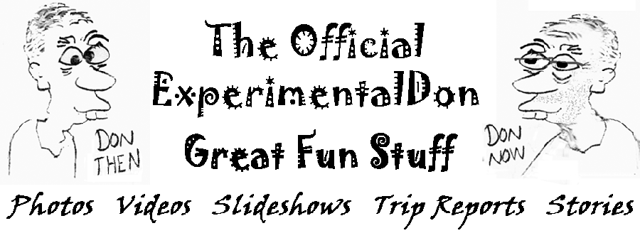 Website title 'Great Fun Stuff' with Don's picture