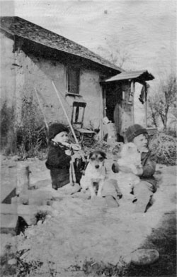 1936 picture of Don, the terrier dog Cricket, Jim and Snowball the cat