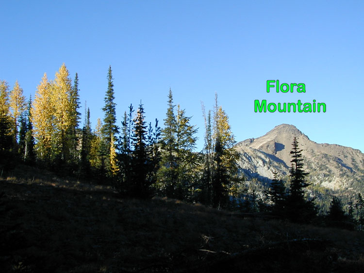 Flora Mountain